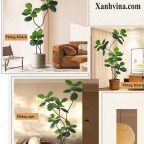 Cây cảnh giả Ficus